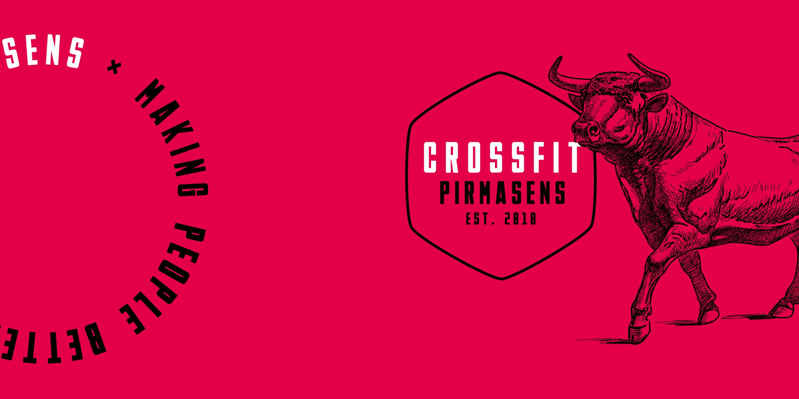 Modjular_Case_Real_Sports_GmbH_Cross_Fit_Box_Pirmasens10