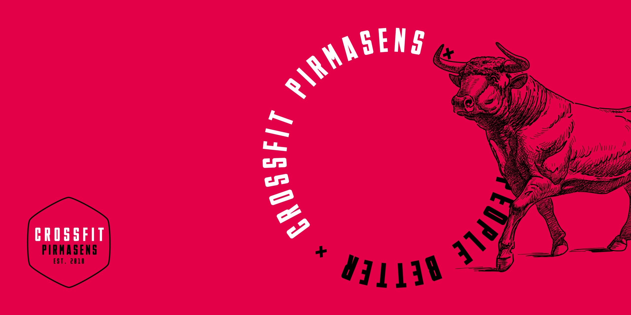 Modjular_Case_Real_Sports_GmbH_Cross_Fit_Box_Pirmasens9